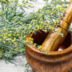 Assenzio Olio Essenziale Distillazione Molecolare