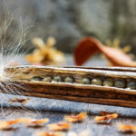 natural ambrettolide