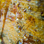 Balsam Tolu Absolute