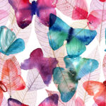 Black Sacra Frankincense Essential Oil