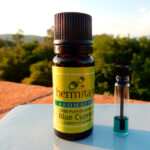 Blue Cypress Essential Oil
