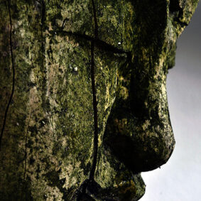 Buddha Wood Essential Oil