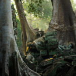 Cambodian Oud Essential Oil