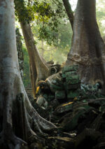 Cambodian Oud Essential Oil