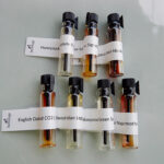 "Super Aromatici Mavericks" - Set Di Campioni 2025