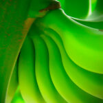 Cis-3-Hexenyl Acetate Natural Isolate