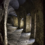 Fenchyl Alcohol Natural Isolate