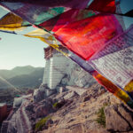 Goji Berry Absolute 20% (NEPALESE)