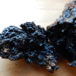 Hyraceum 10% Tintura (Invecchiato 6 anni)