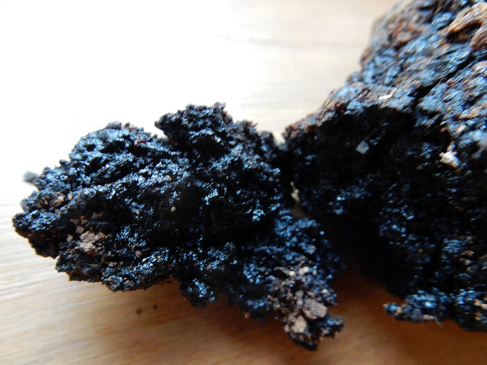 Hyraceum 10% Tintura (Invecchiato 6 anni) - immagine 1