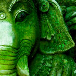 Kerala Indian Sandalwood 1953 E.O