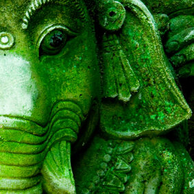 Kerala Indian Sandalwood 1953 E.O