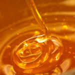 labdanum Absolute Honey Sweet