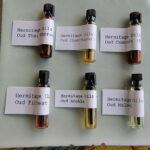 "Campioni Di Oud Naturale E Sintetico" - Set 2025