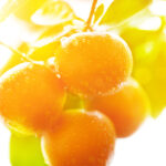 Arancia Amara FCF Olio Essenziale