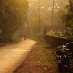 Oud Di Assam Selvatico Olio Essenziale (Invecchiato Tre Anni)