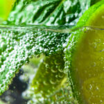 Oud Chanthaburi Honey