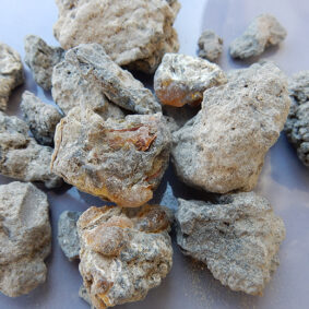 Palo Santo Resin
