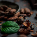 Patchouli Chocolate CO2