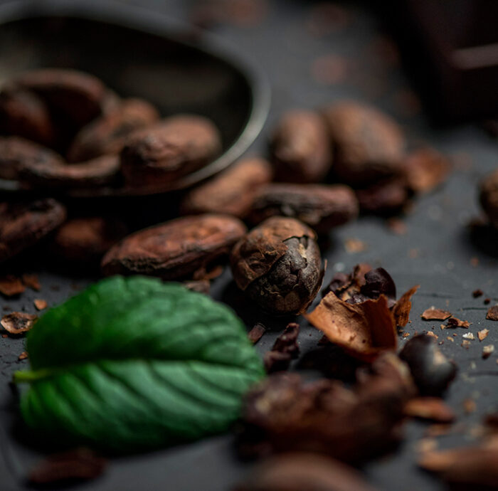 Patchouli Chocolate CO2