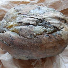 Protium Copal Resin