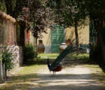 Foglie Di Rosa Assoluta 2025 - immagine 2