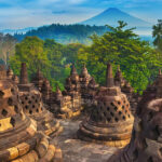 sandalwood Kupang Essential Oil