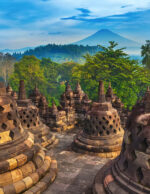 sandalwood Kupang Essential Oil