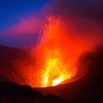 Sandalo Vanuatu Olio Essenziale Signature Gold (Invecchiato Quattro Anni E Mezzo)