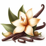 Vaniglia Planifolia Estratto CO2 (Jacks ex. Andrews)