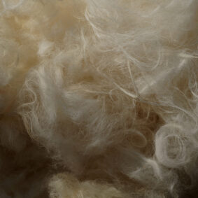 Wool Musk Absolute