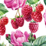 Rosa Di Lampone Blend Naturale