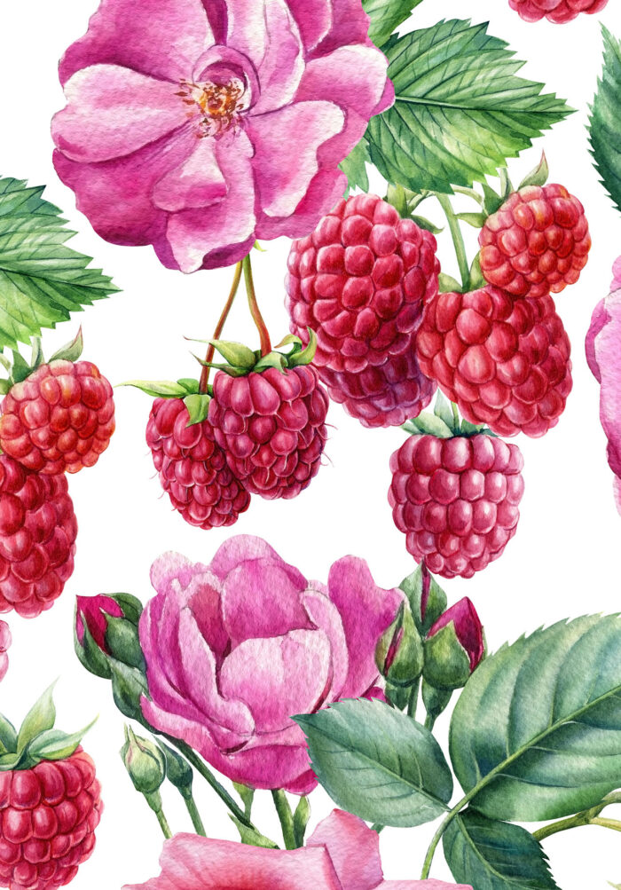 Rosa Di Lampone Blend Naturale - immagine 1