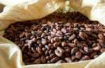 Cocoa Colourless Absolute