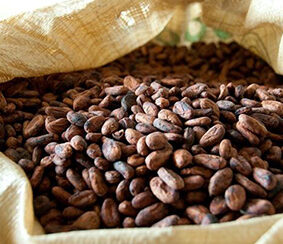 Cocoa Colourless Absolute