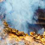 Guaiacol Natural Isolate