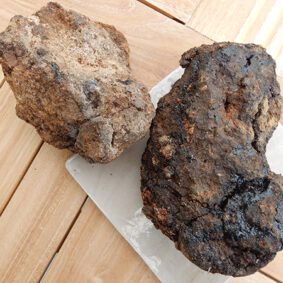 hyraceum