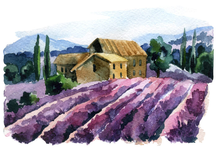 Lavender Absolute (Italian) - immagine 1
