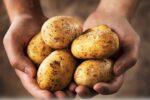 Potato Pyrazine Natural