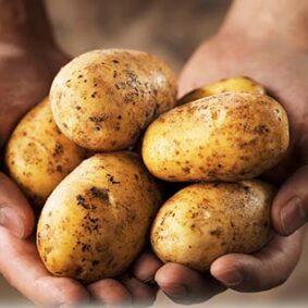 Potato Pyrazine Natural