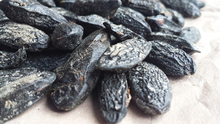 Fava Tonka Assoluta (Brasile) - immagine 2