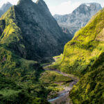 Vetiver Bourbon Olio Essenziale Reunion