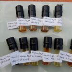 "Campioni Di Vetiver" - Set 2025