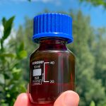 Oud Rosso Rubino Selvatico 2020