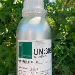 Sublimolide (Ambrettolide HC)