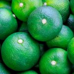 Sudachi Olio Essenziale Signature Gold (Citrus sudachi)