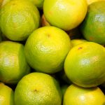 Bergamotto Olio Essenziale FCR Signature Gold (Stagione 2025)