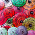 Vetiver Papuano Rosso Distillato Moleculare Olio Essenziale