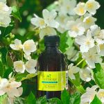 Trietil Citrato Naturale (TEC)