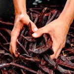 Fava Di Carruba Signature Gold 50% Assoluta